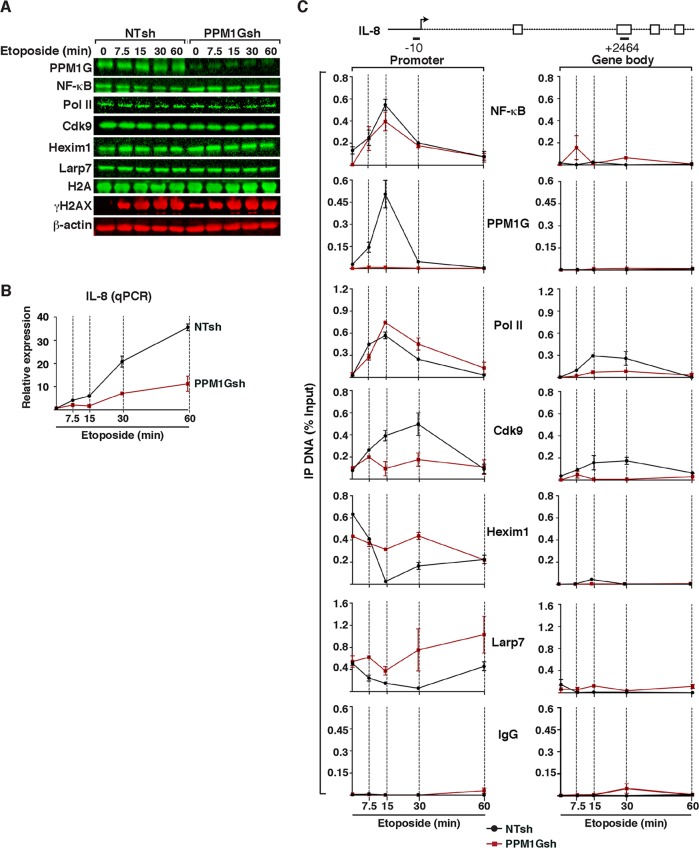 FIG 6