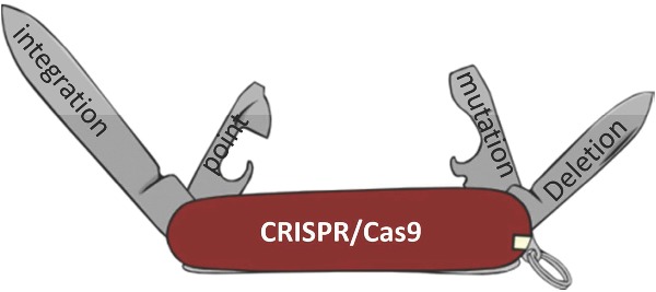 Graphical Abstract Figure