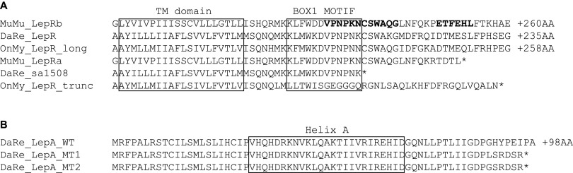 Fig. S1.