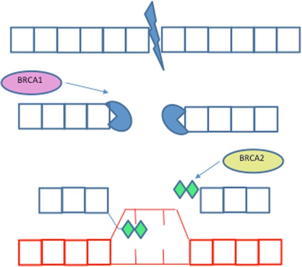 Fig. 2