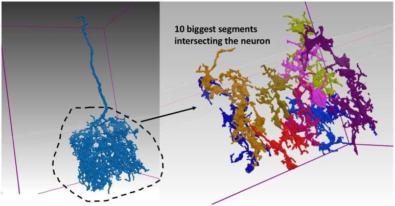 Figure 6