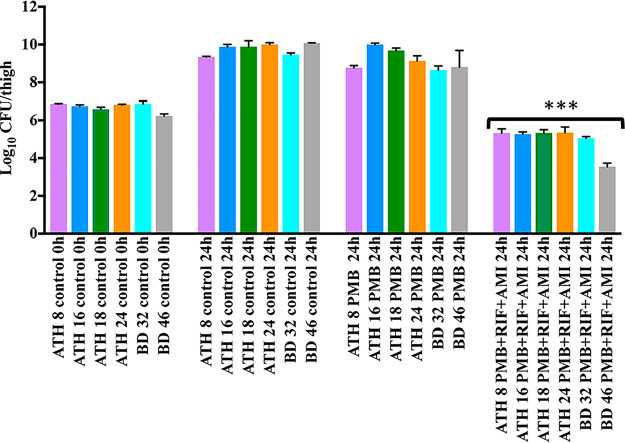 FIG 3