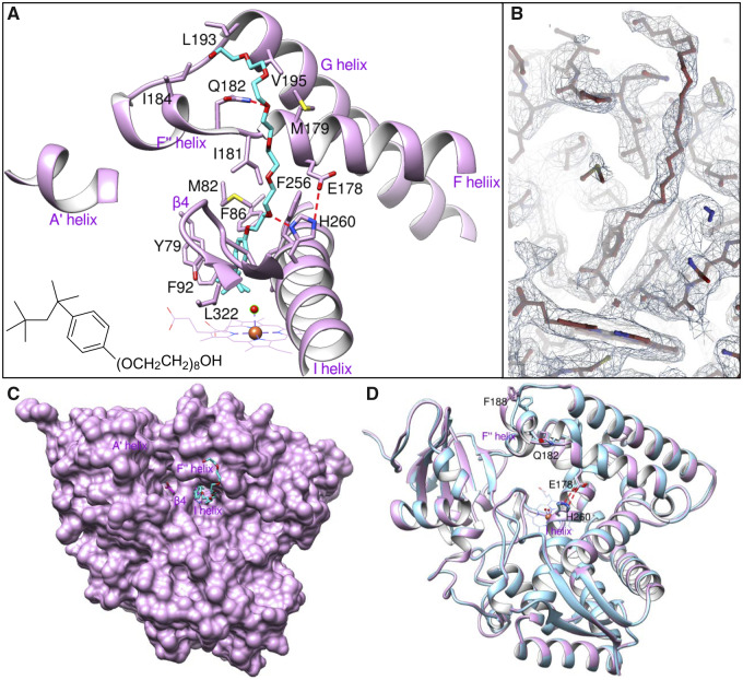 Fig. 6.