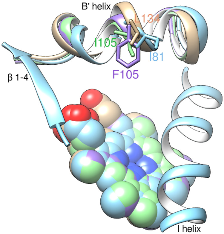 Fig. 7.