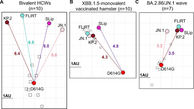 Figure 4: