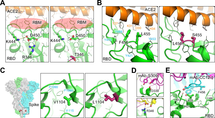 Figure 6: