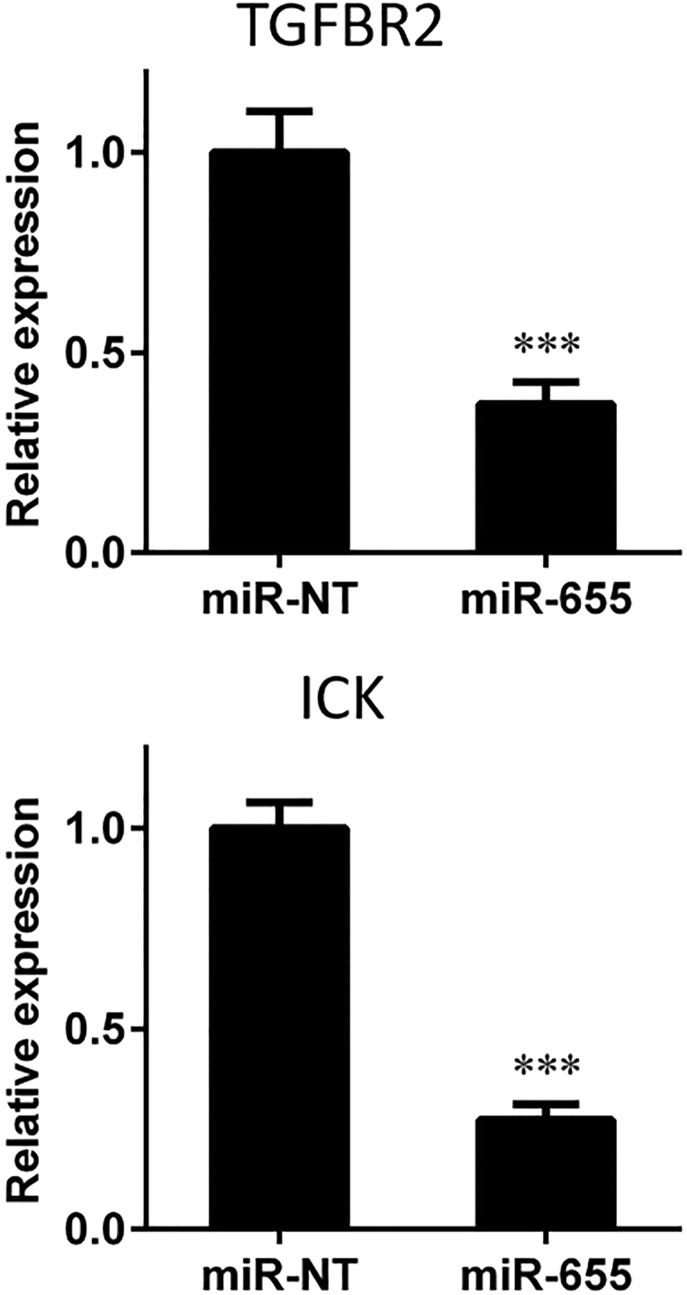 Figure 4