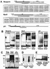 FIG.3.