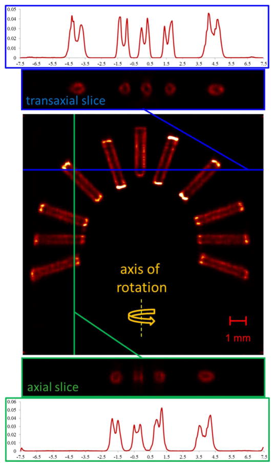 Fig. 10