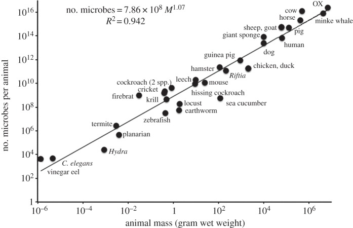 Figure 1.