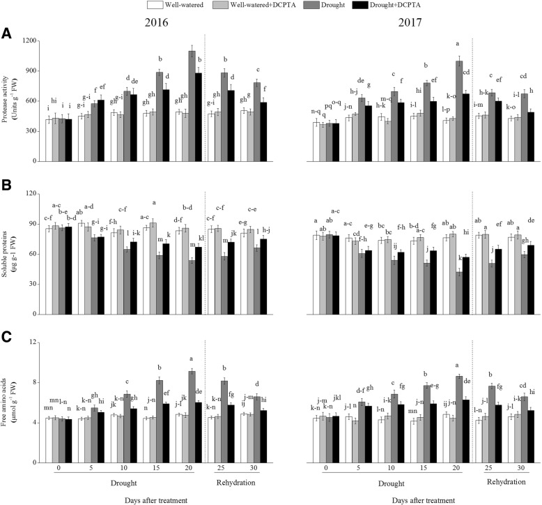 Fig. 13