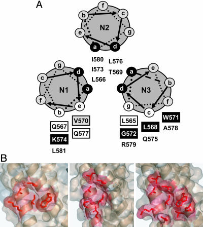 Fig. 4.