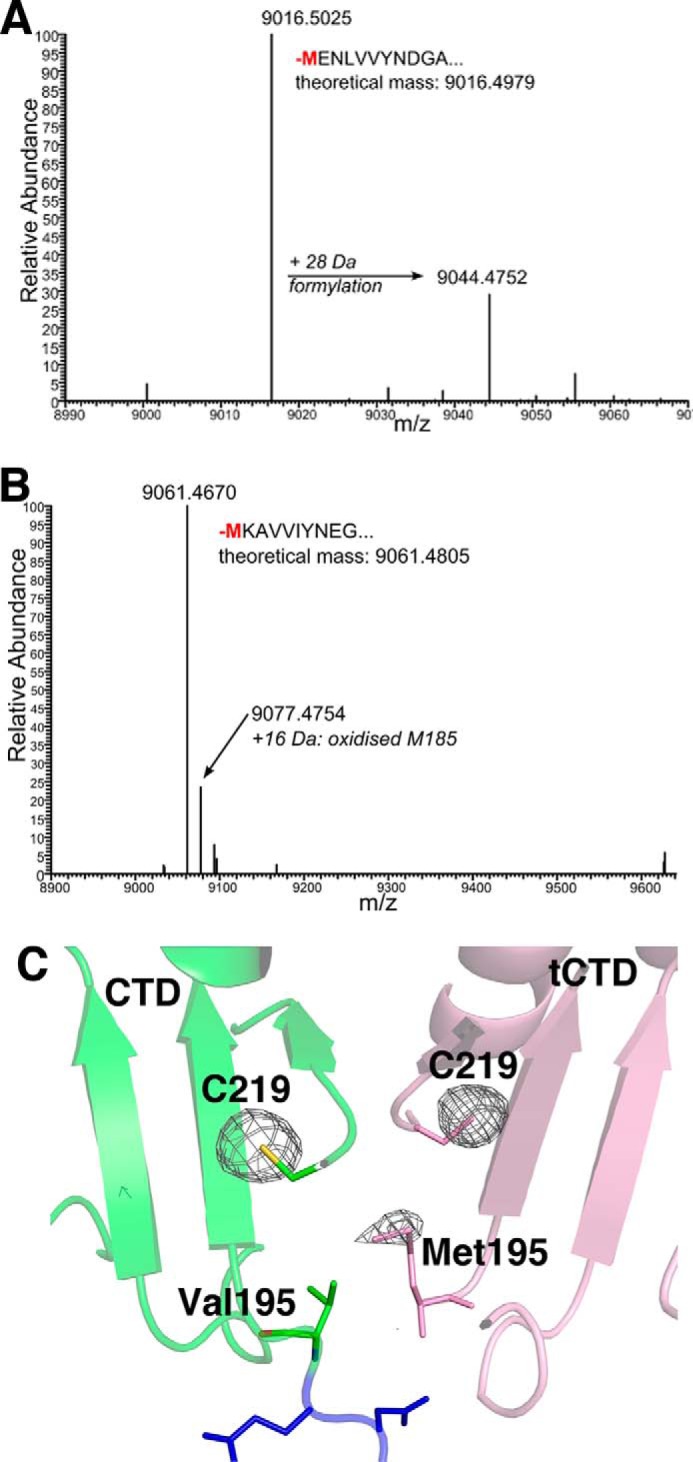 FIGURE 3.