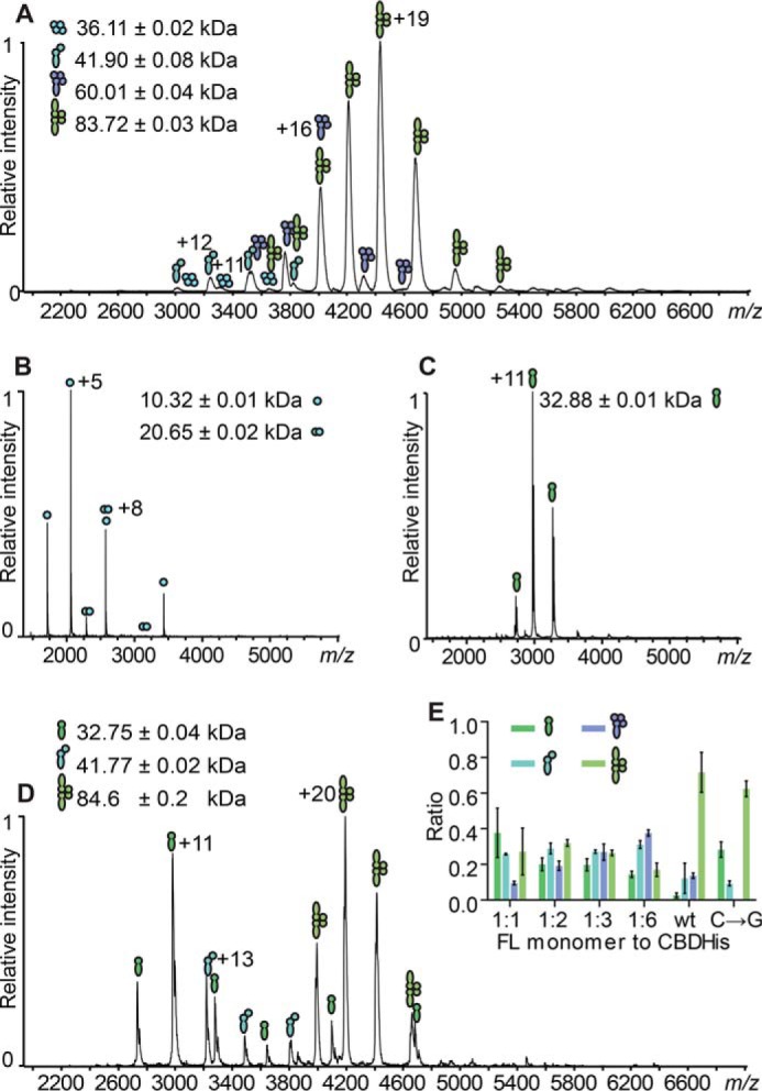 FIGURE 6.