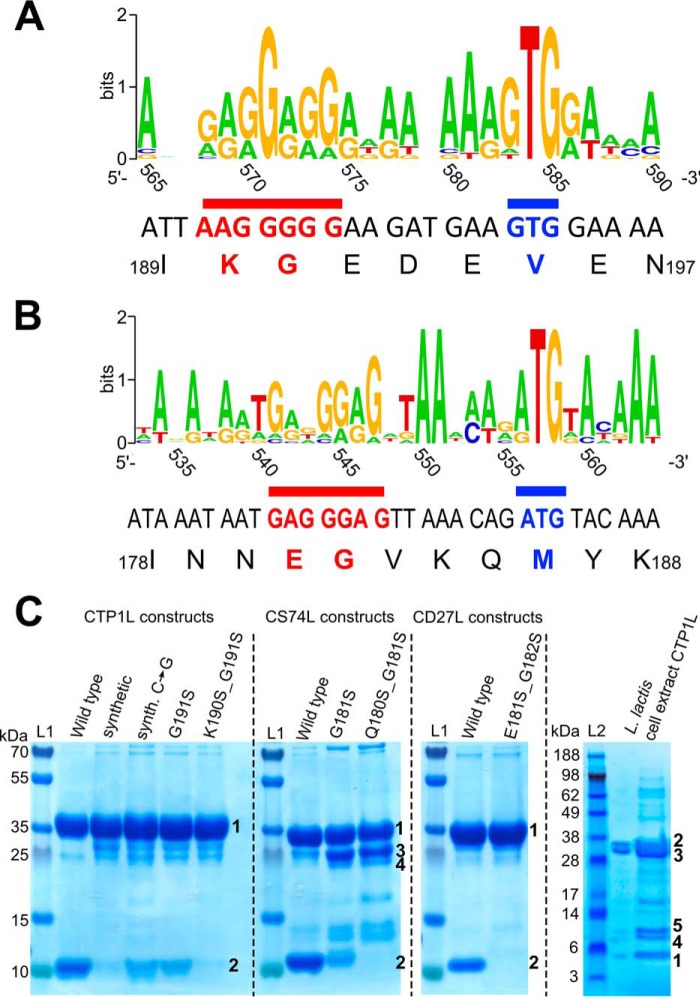 FIGURE 4.