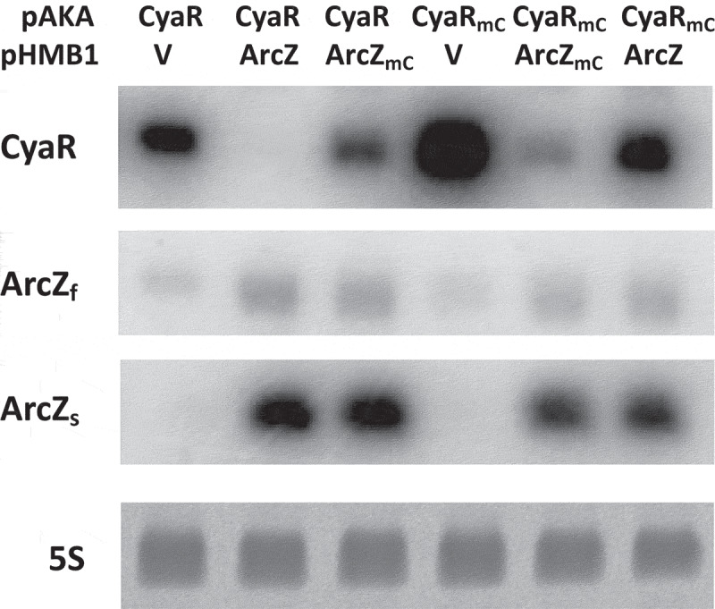 Figure 6.