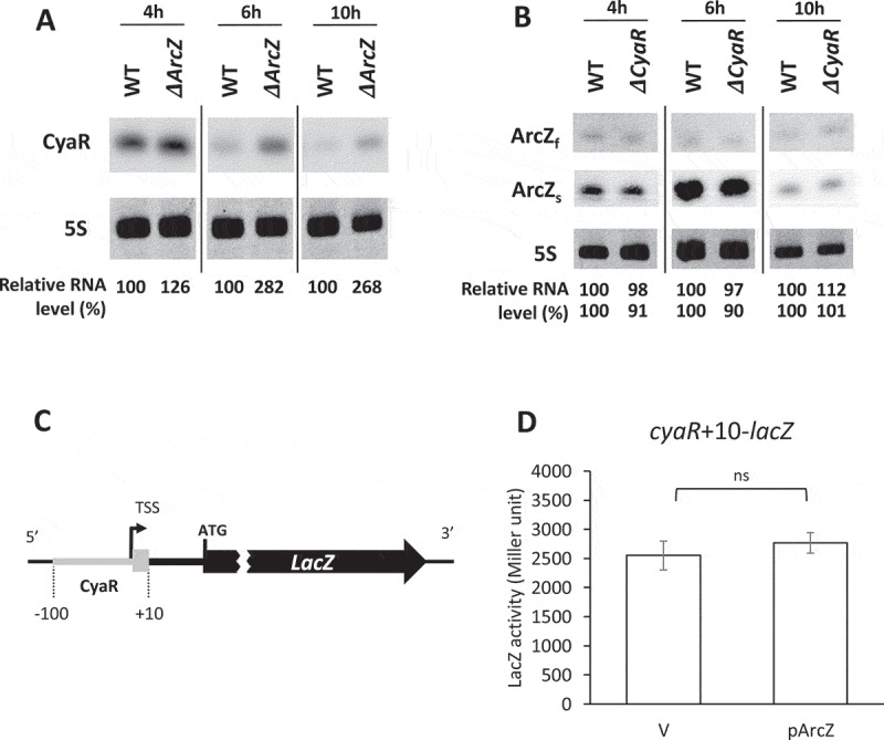 Figure 4.