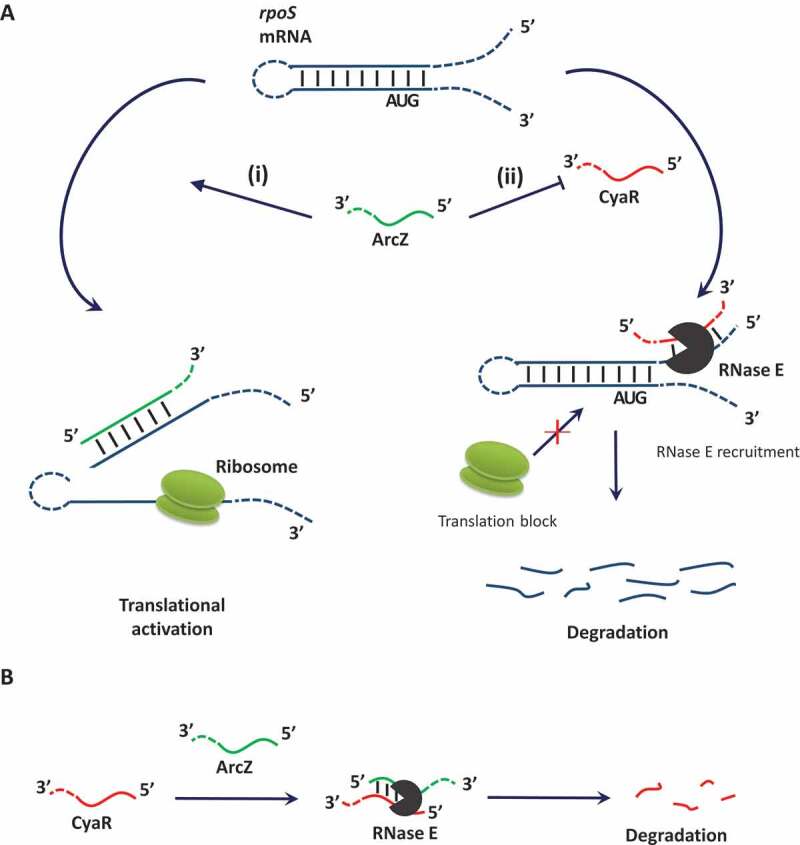 Figure 9.