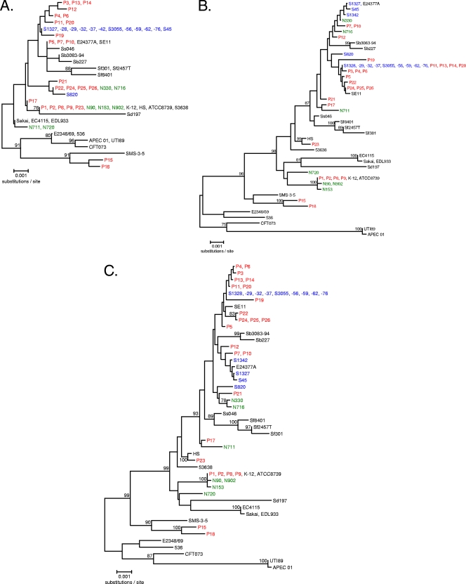 FIG. 2.