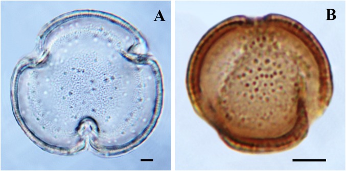 Fig. S2.