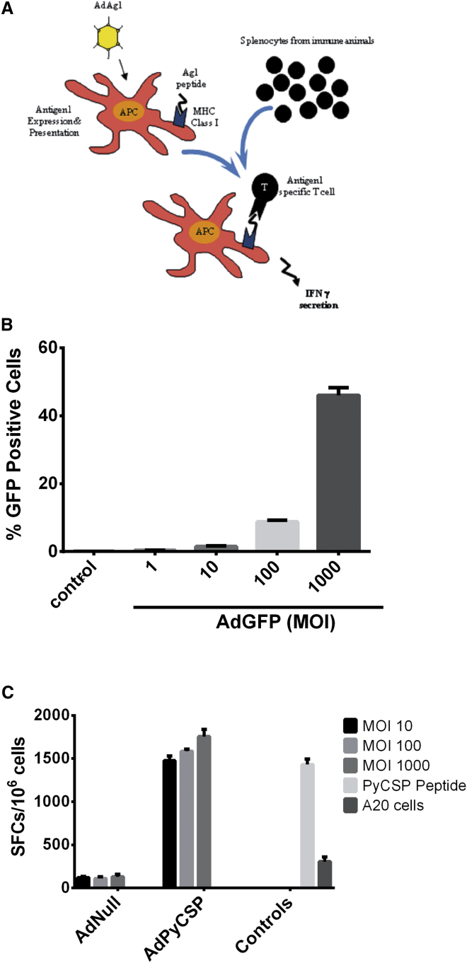 Figure 3