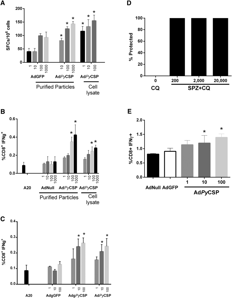 Figure 4