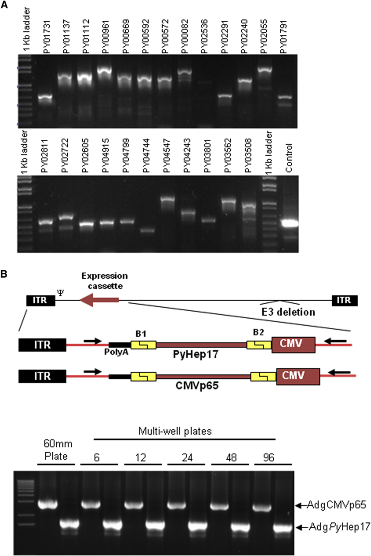 Figure 2