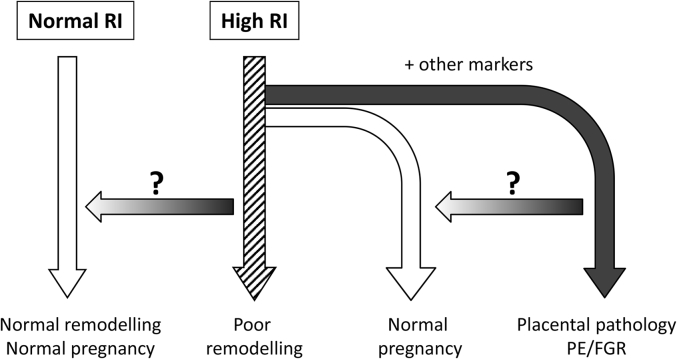 Fig. 2