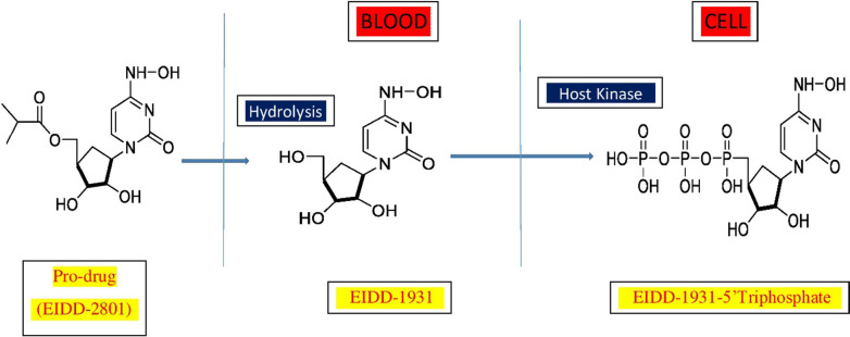 Fig. 2