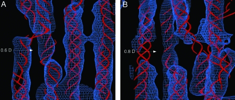 Fig. 4.