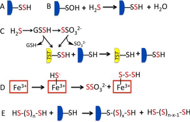 FIGURE 1.