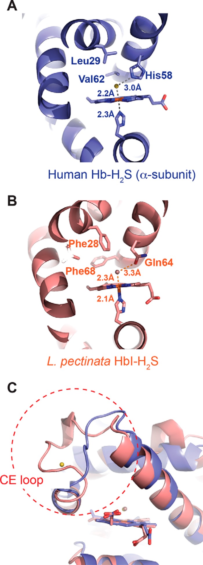 FIGURE 9.