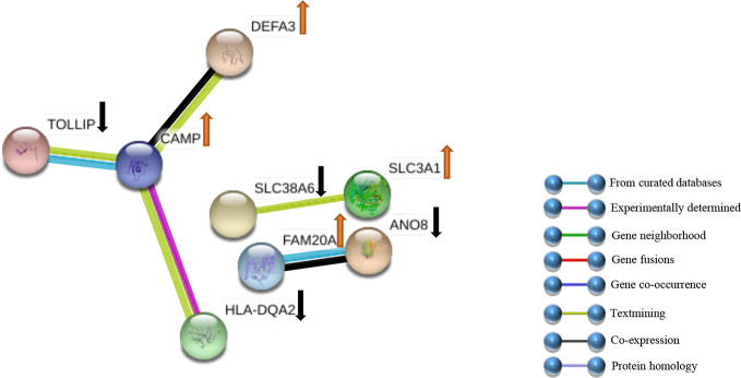 Figure 5