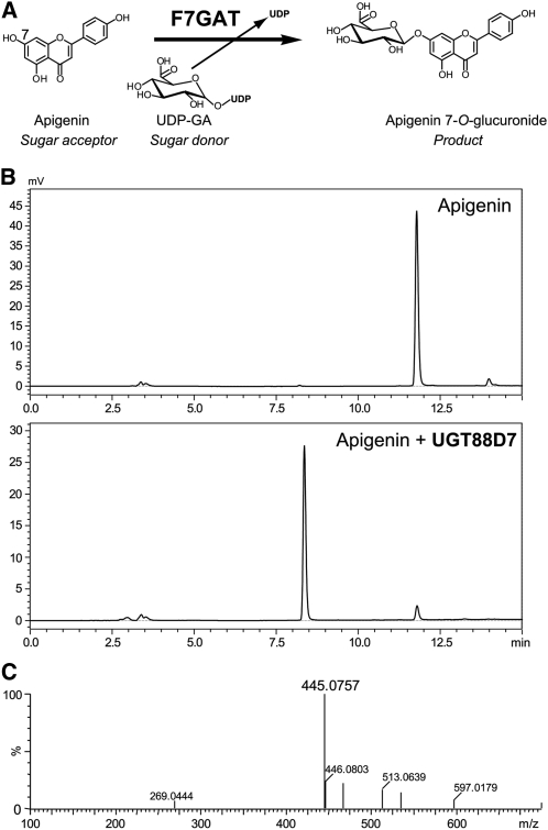 Figure 2.