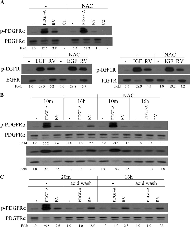 FIG 3