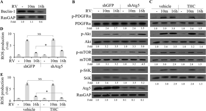 FIG 6