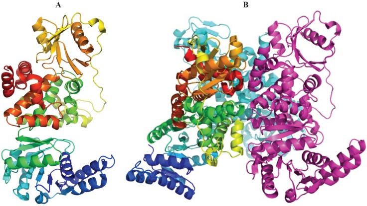 Figure 5