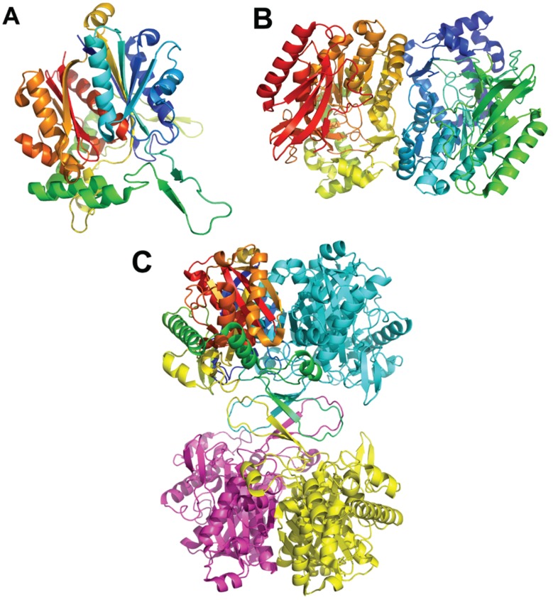 Figure 4