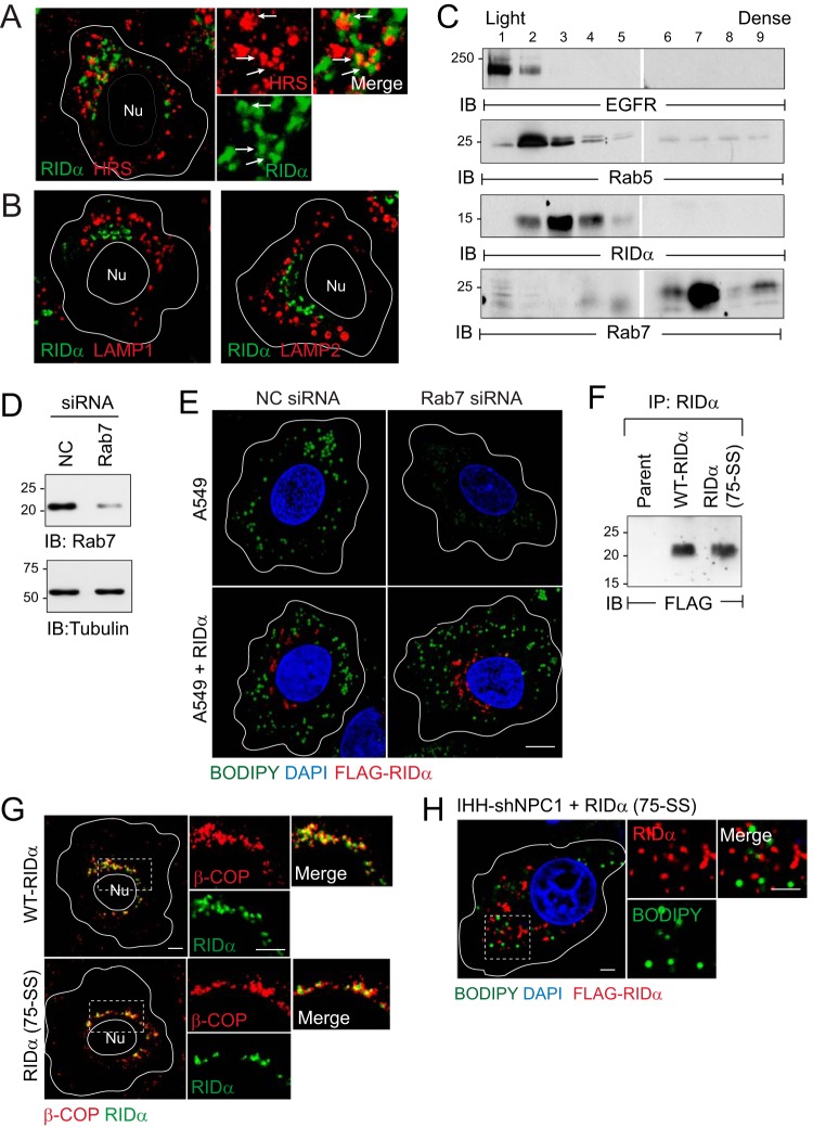 FIG 6