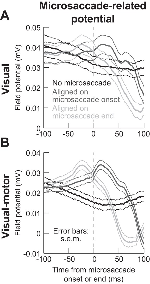 Fig. 10.