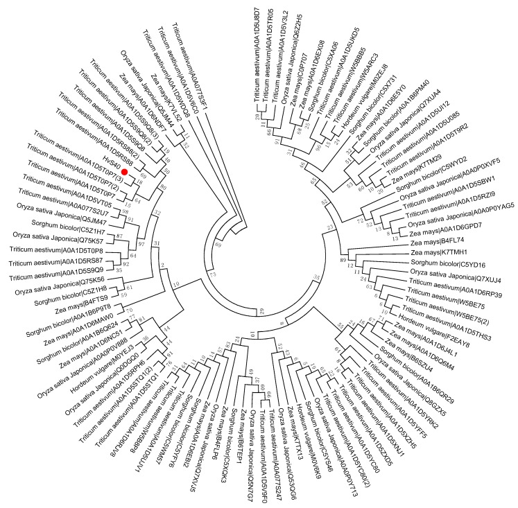 Figure 5