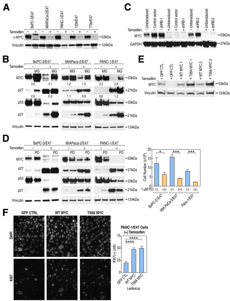 Figure 6