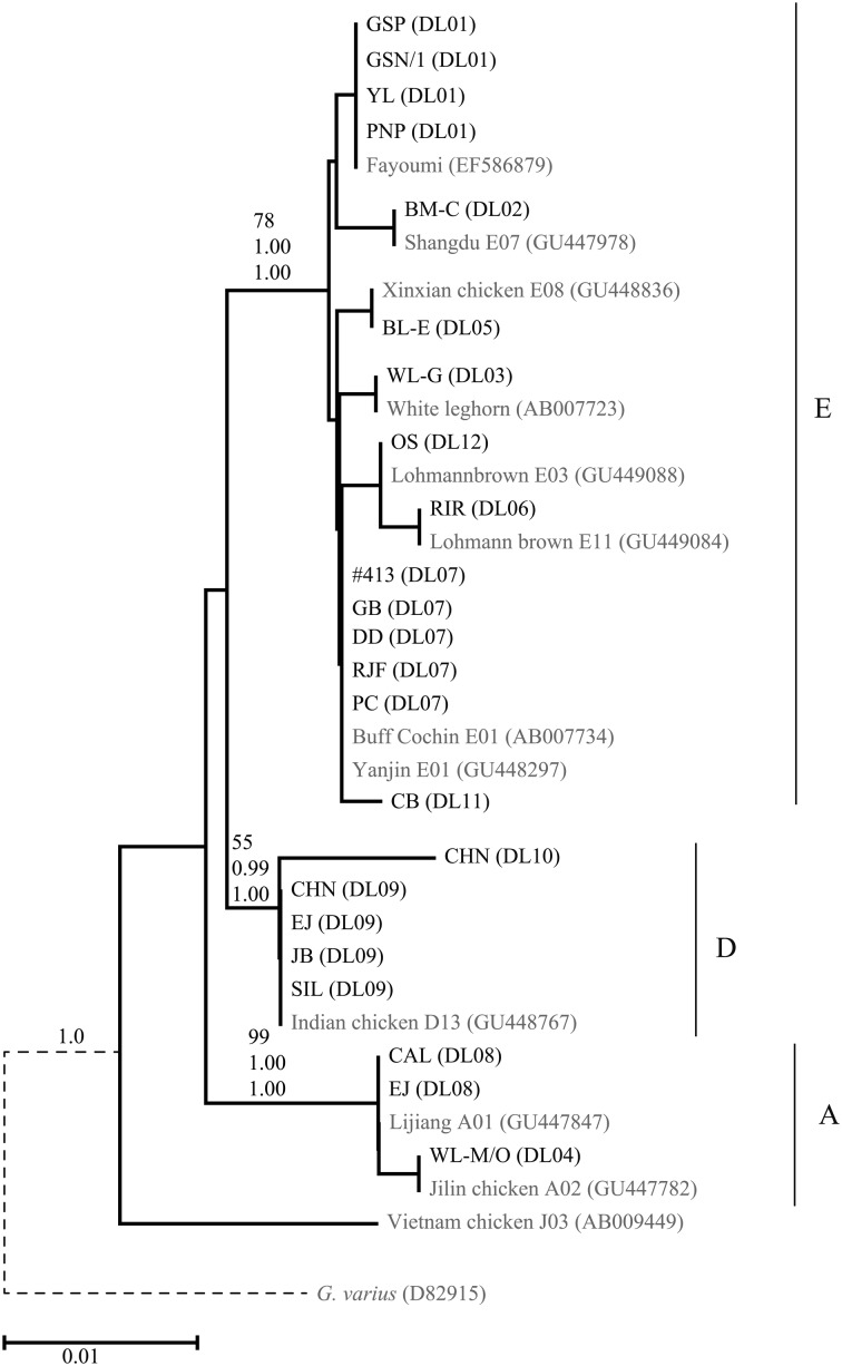 Fig. 1.