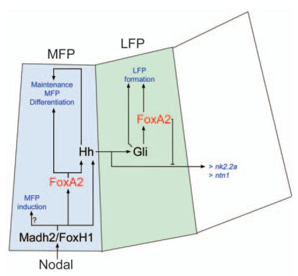 Fig. 10