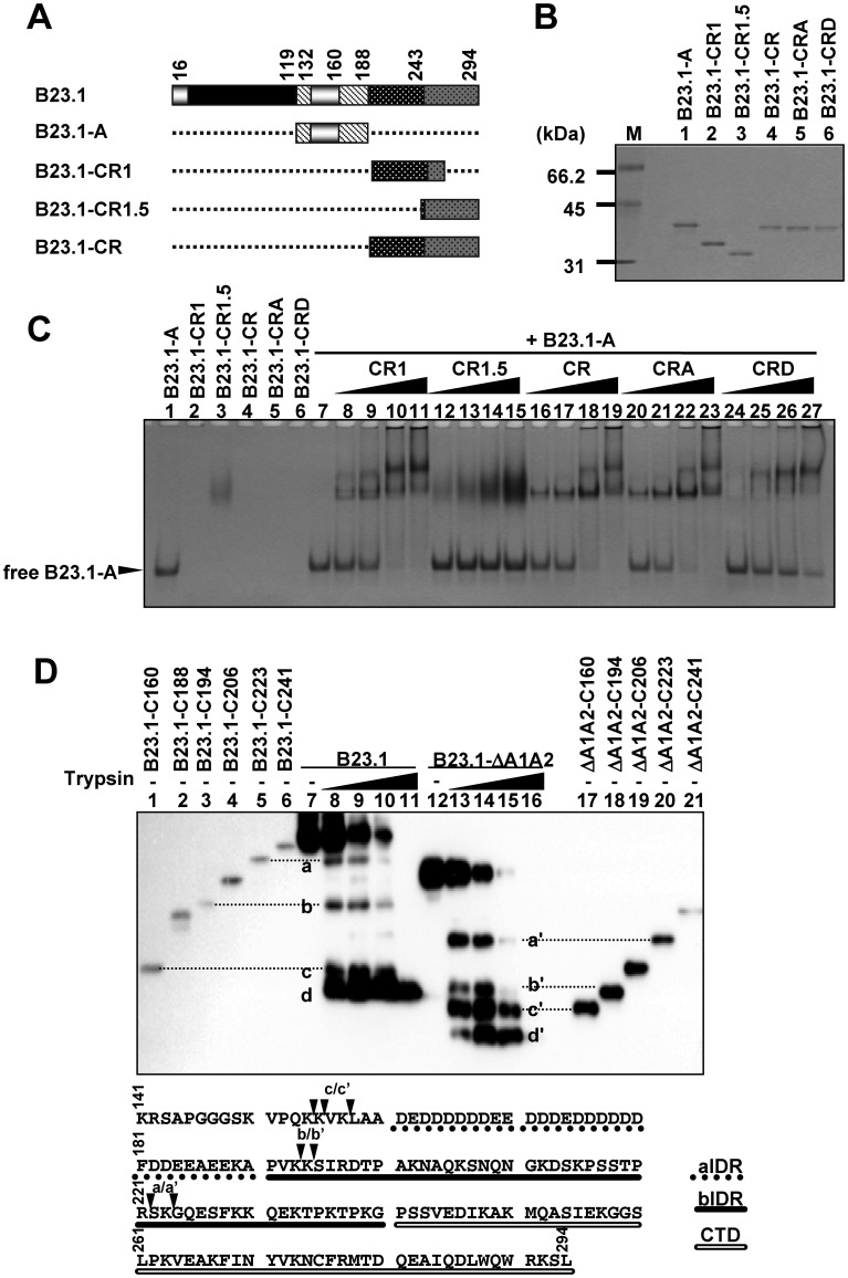 Figure 6.