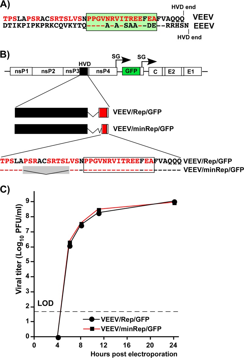 FIG 3