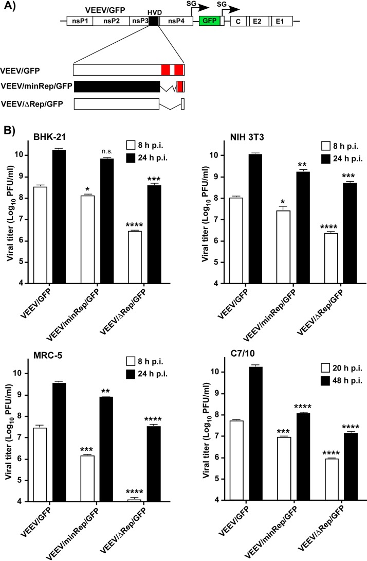 FIG 6