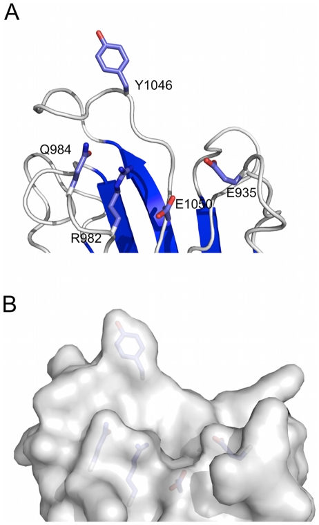 Figure 8