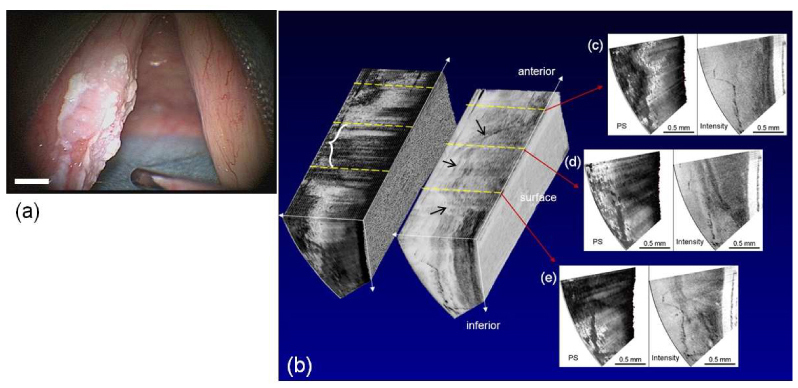 Fig. 9