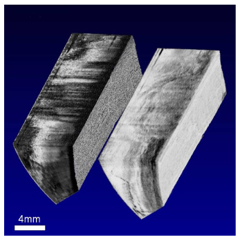 Fig. 10